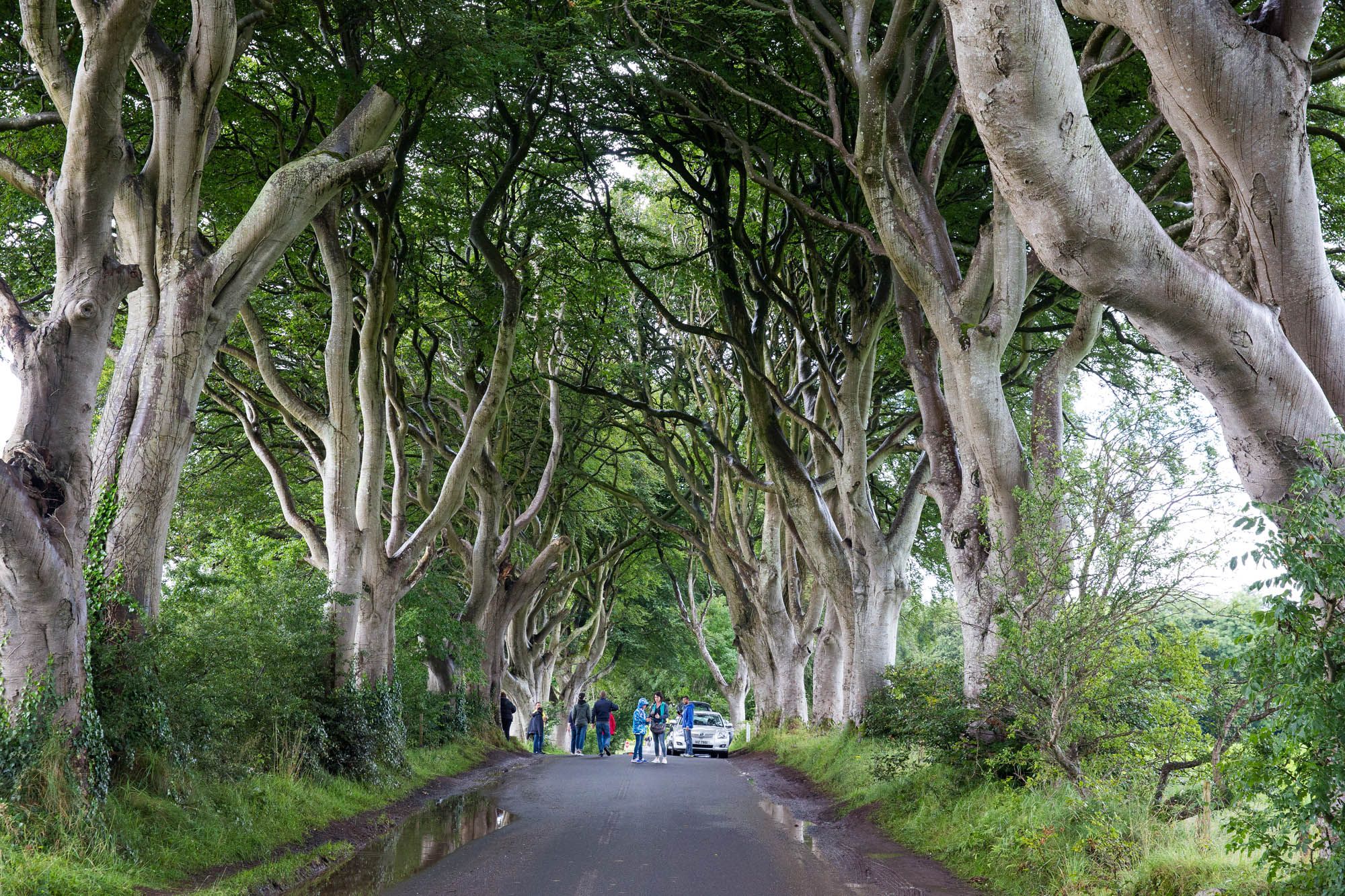 Game Of Thrones Filming Sites In Northern Ireland What You