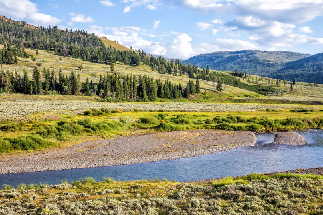 Lamar Valley Earth Trekkers