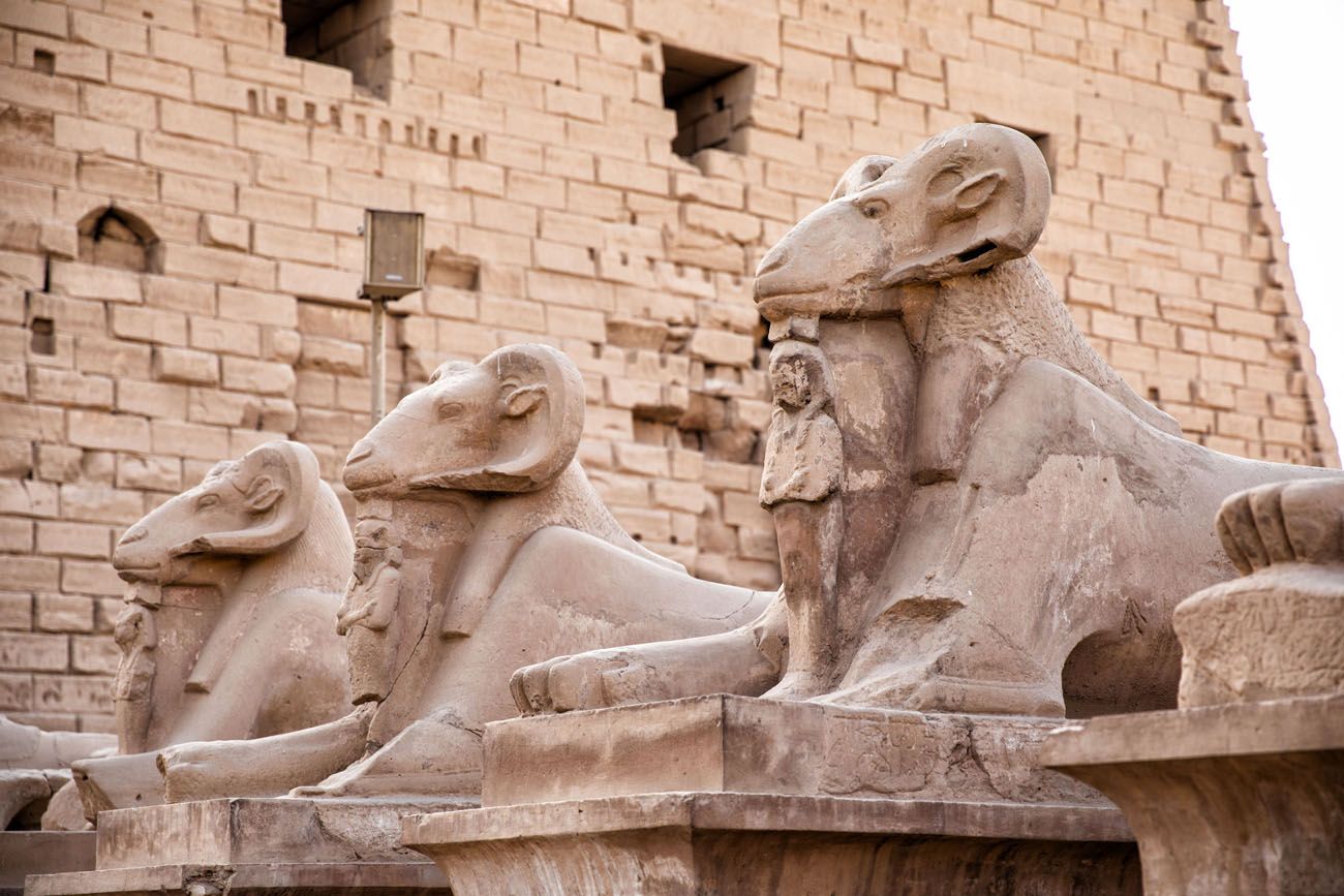 Ram Headed Sphinx East Bank of Luxor