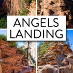 Angels Landing Hike Zion National Park