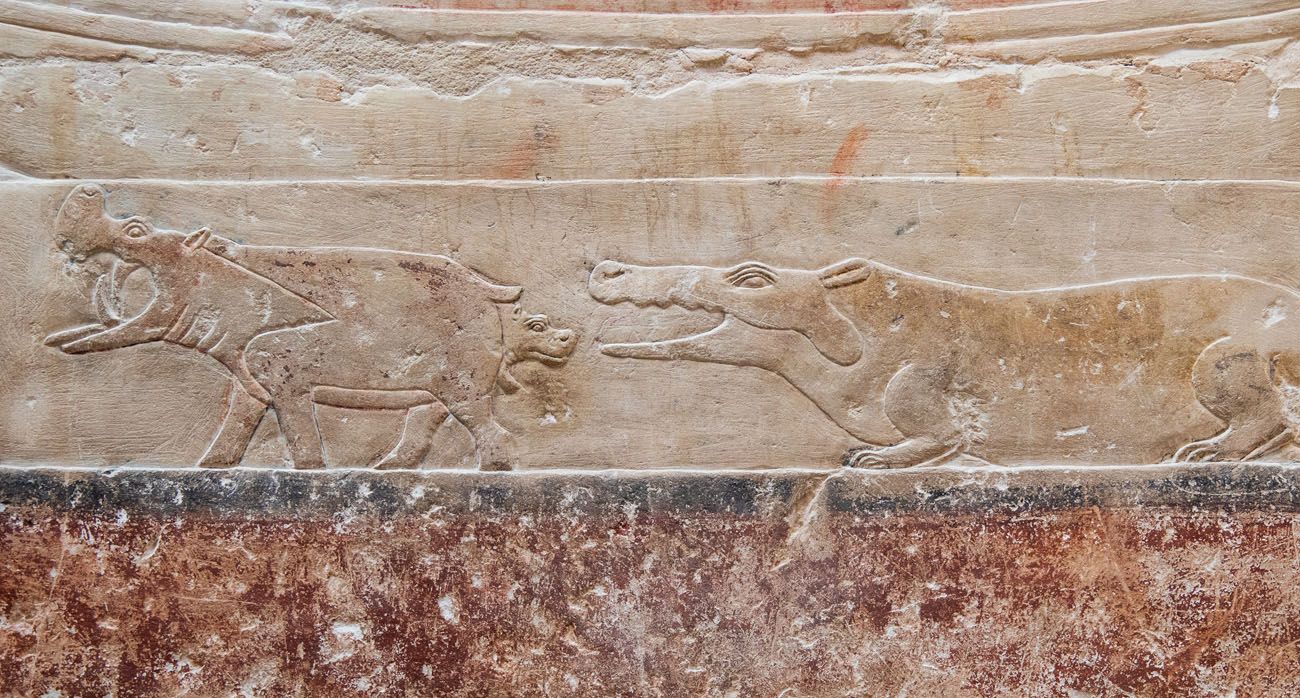 Tomb Carving Saqqara Dahshur Memphis and Saqqara