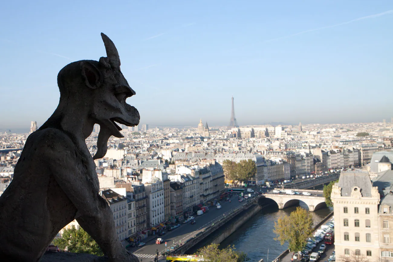 Gargoyle View of Paris