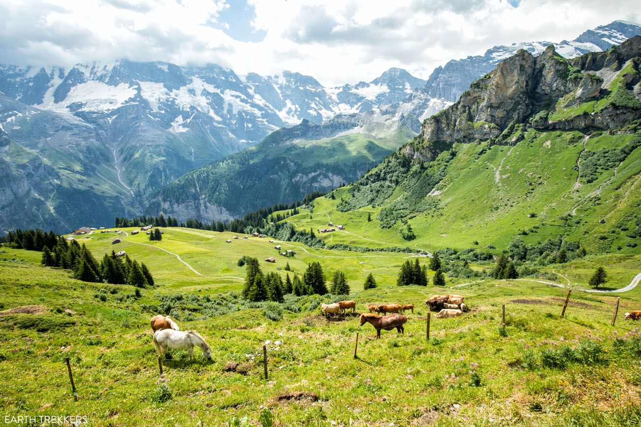 Northface Trail Switzerland
