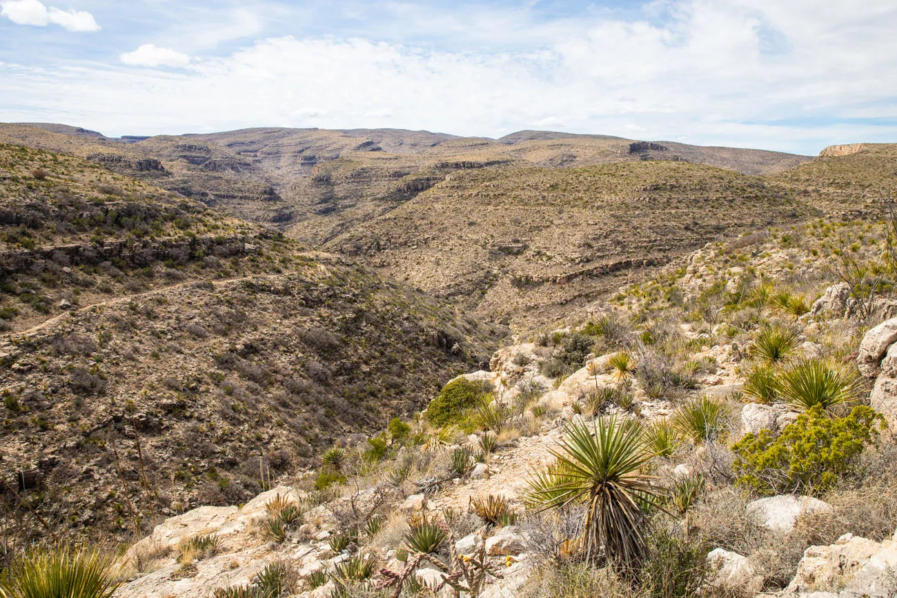 Carlsbad Caverns Scenic Drive