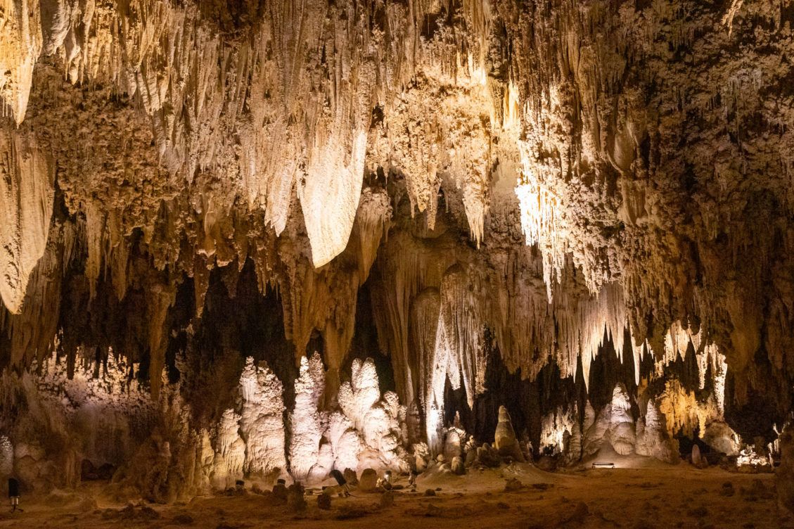 Best Things To Do In Carlsbad Caverns National Park | Earth Trekkers