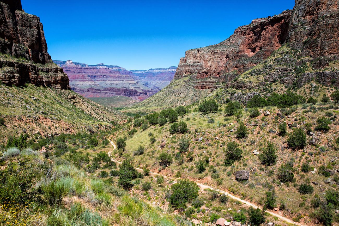 Hiking Trail Grand Canyon