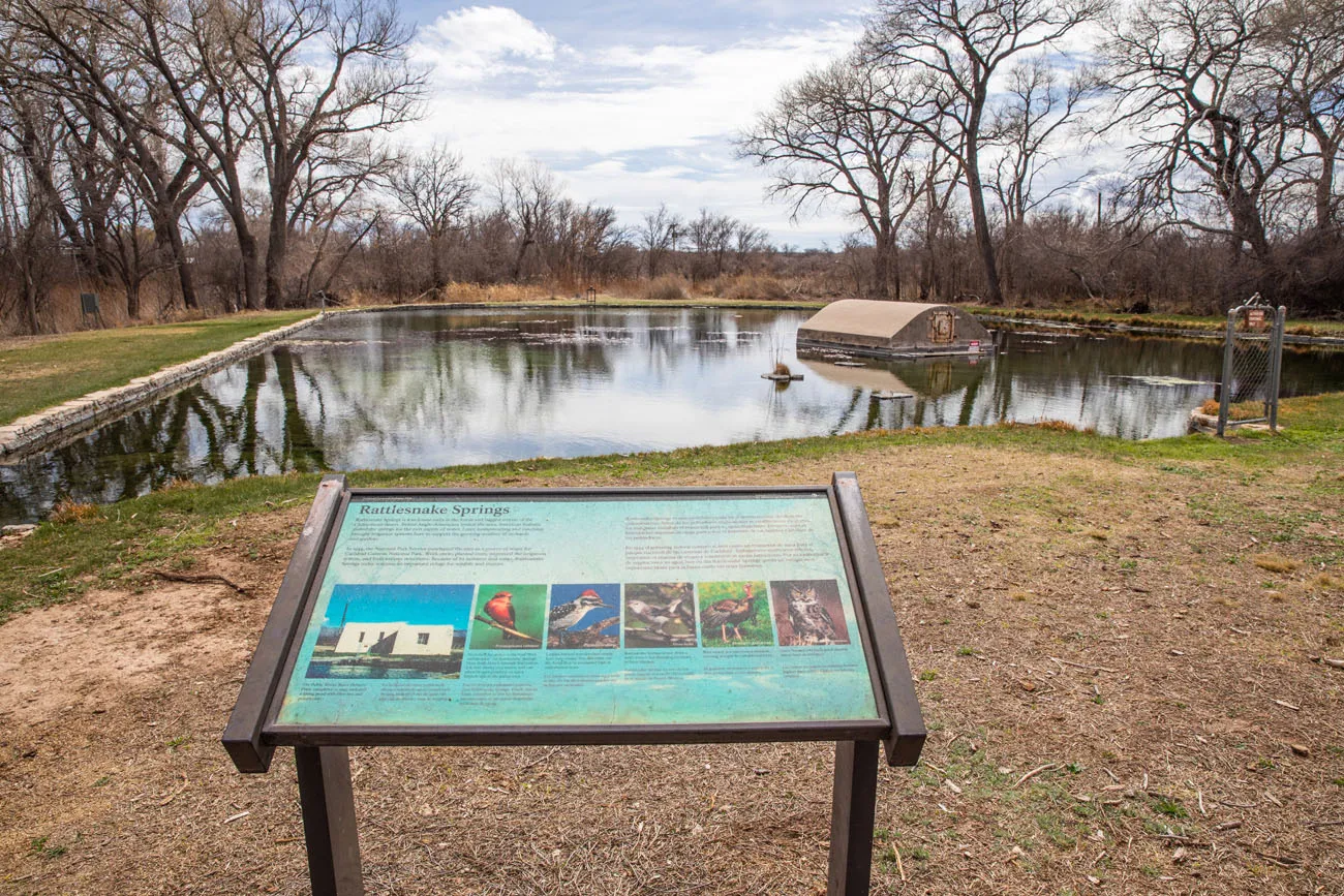 Rattlesnake Springs