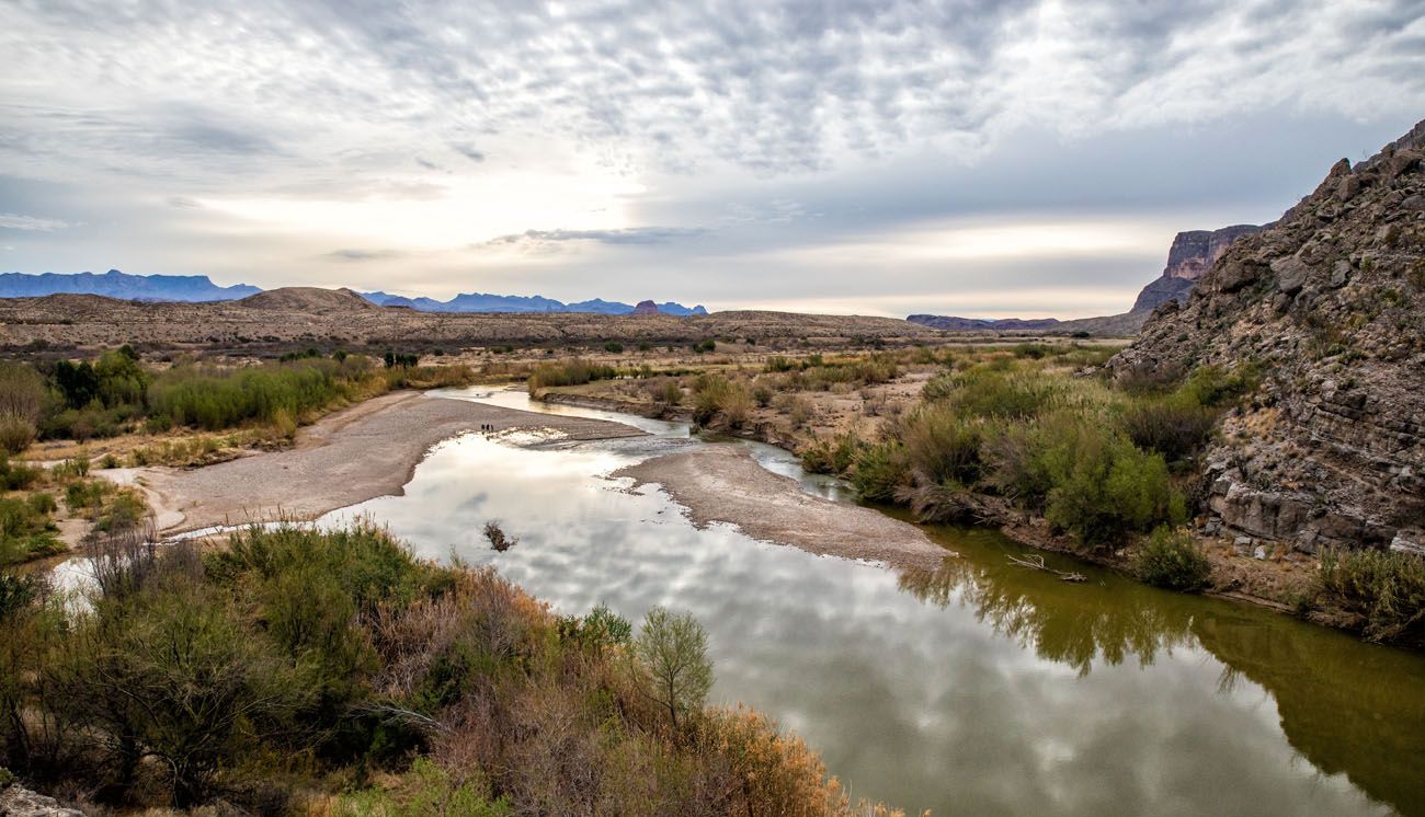 are dogs allowed in big bend national park texas