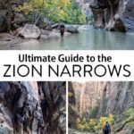 Zion Narrows Hiking Guide