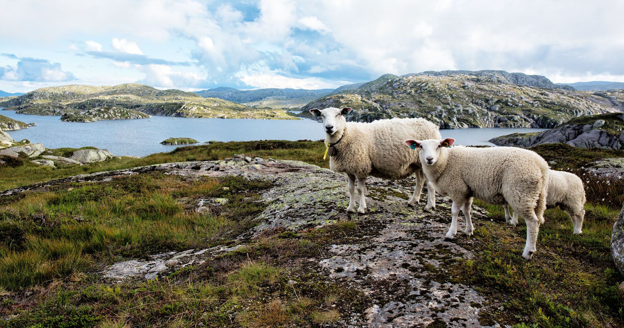 Featured image for “10 Day Norway Itinerary: Ultimate Road Trip through the Fjord Region”