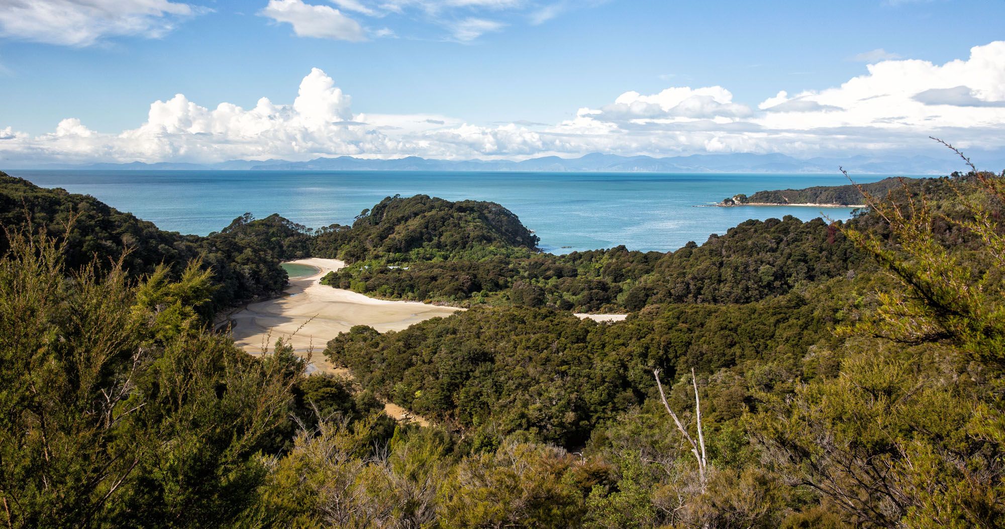 Featured image for “One Day in Abel Tasman National Park”