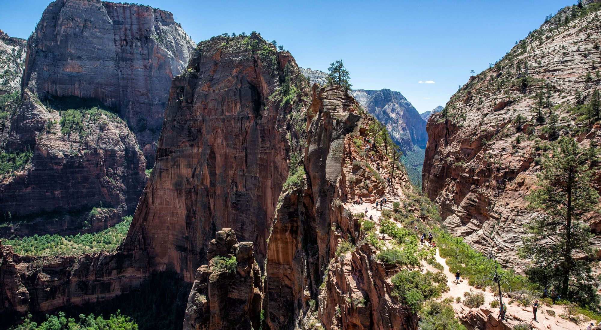 Featured image for “Angels Landing Survival Guide: Things to Know Before You Go”