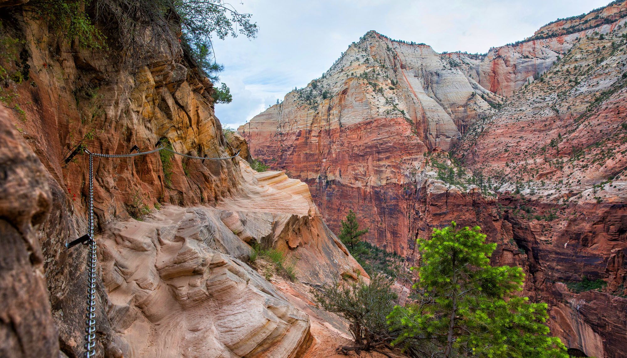 Featured image for “10 Great Hikes in Zion National Park: Which One Will Be Your Favorite?”