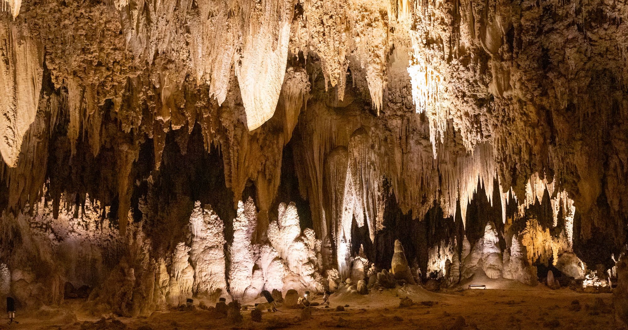 Featured image for “Best Things to Do in Carlsbad Caverns National Park”