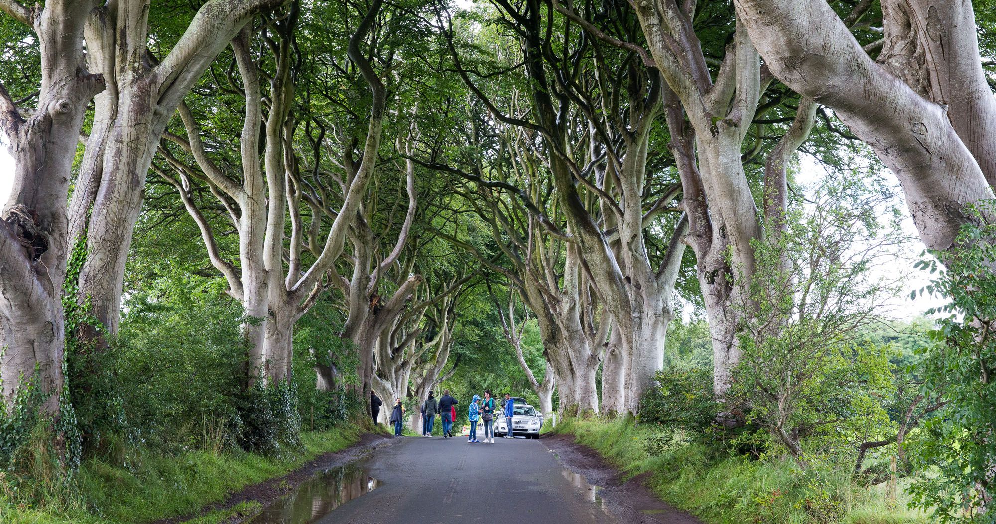 Game of Thrones Ireland