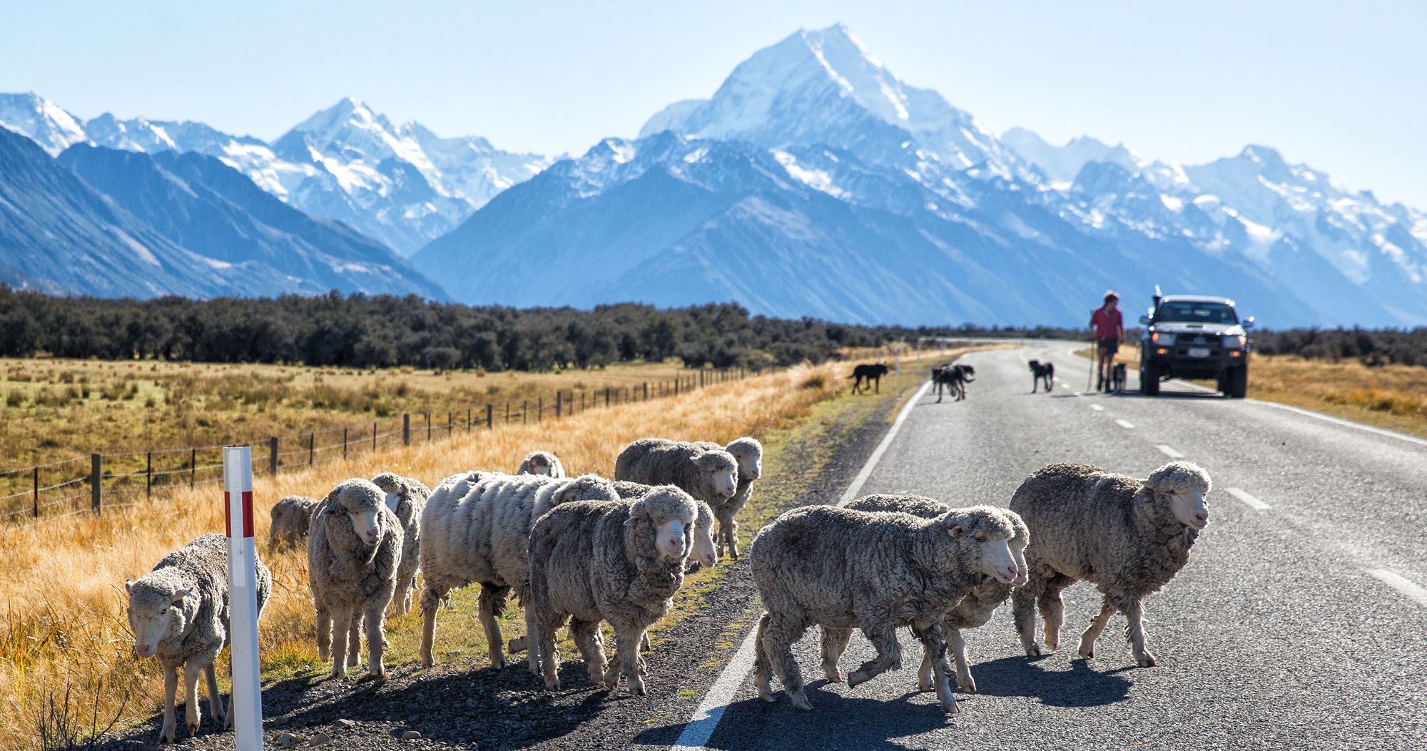 Featured image for “New Zealand from the Road”
