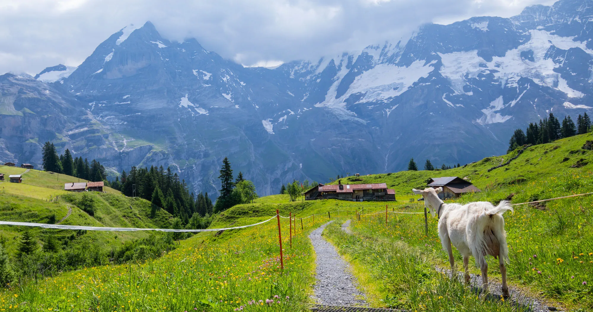 Featured image for “Walking the Northface Trail in Mürren, Switzerland”