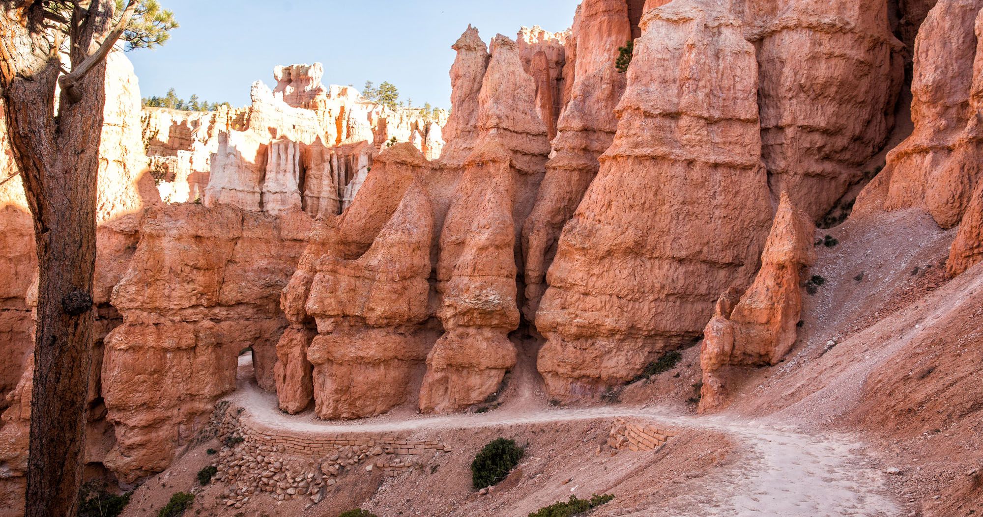 Featured image for “Hiking Bryce Canyon: Queens Garden and Navajo Loop Trails”