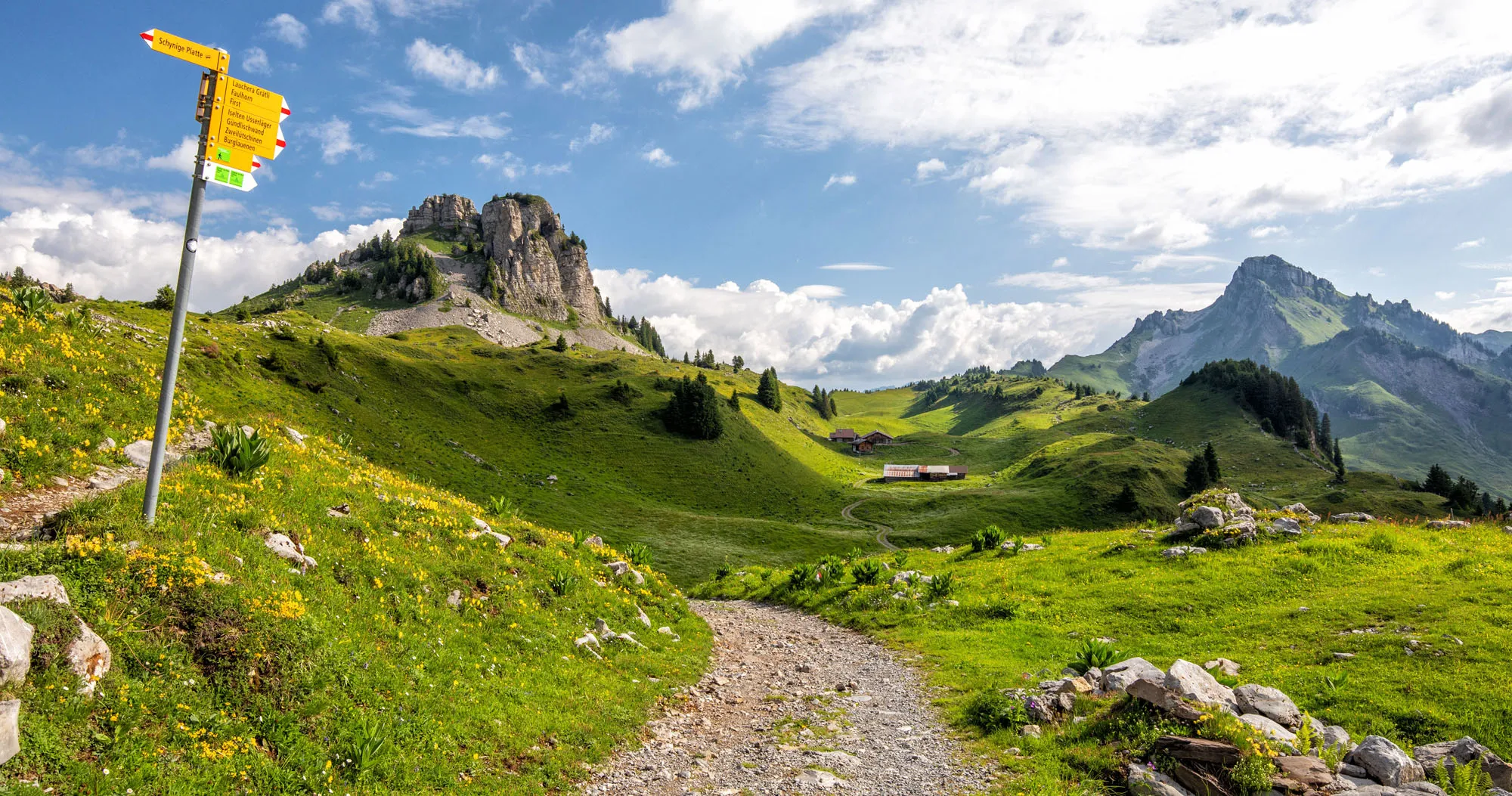 Featured image for “How to Hike from Schynige Platte to Faulhorn to First, Switzerland”