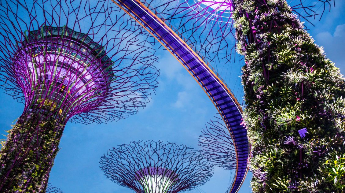 Things to do in Singapore