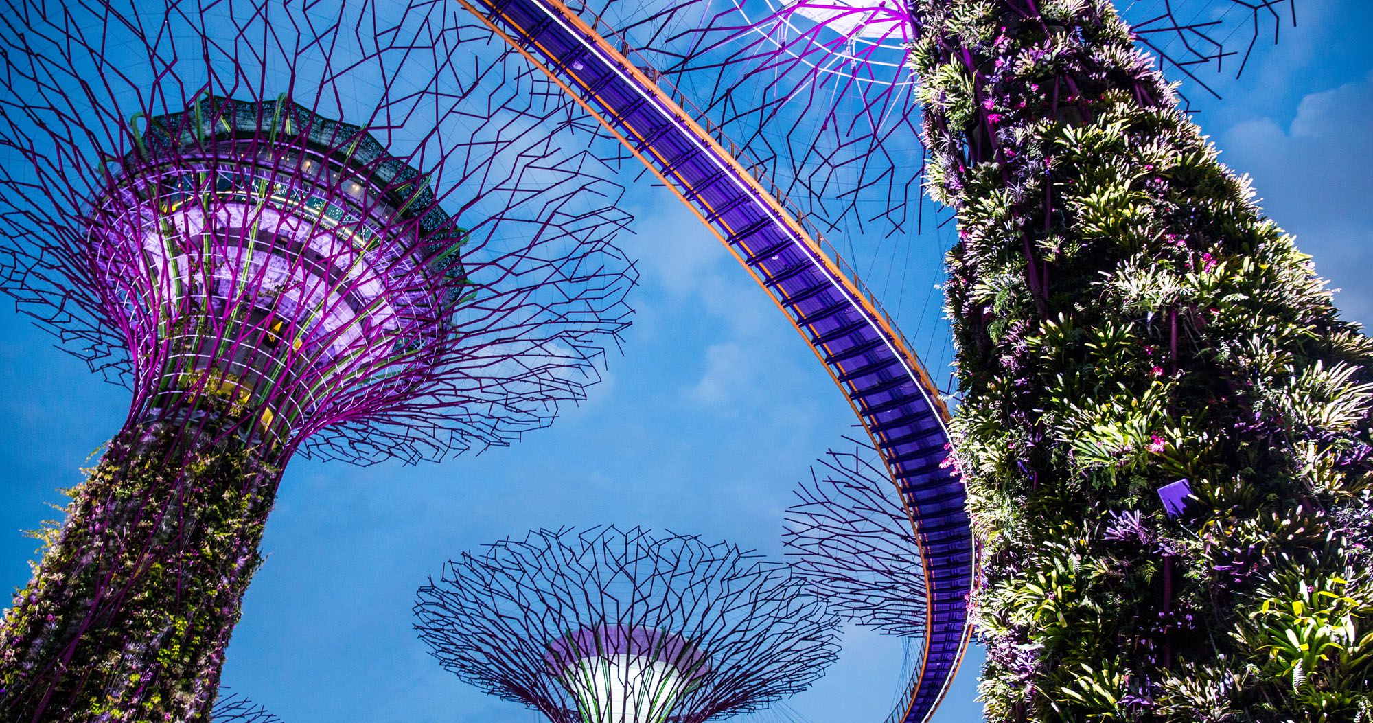 singapore-earth-trekkers