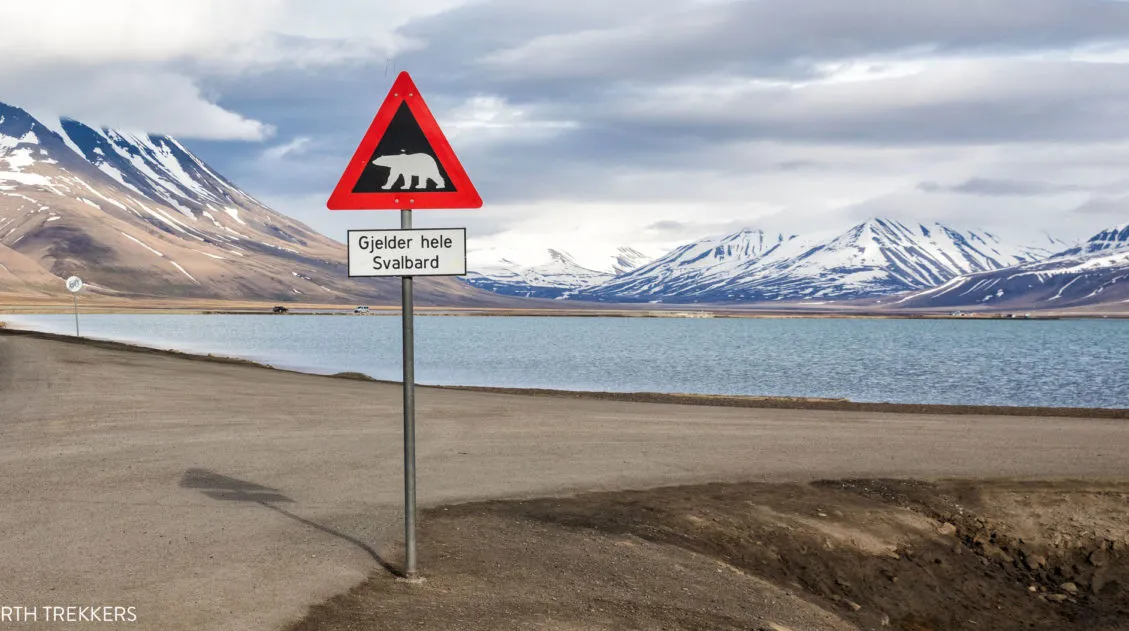 Things to do in Svalbard