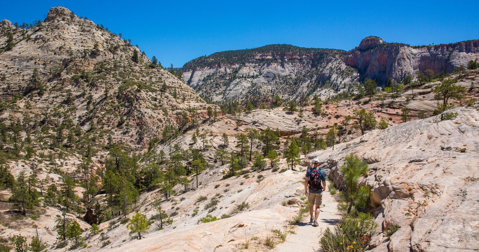 Featured image for “How to Day Hike the West Rim Trail in Zion National Park”