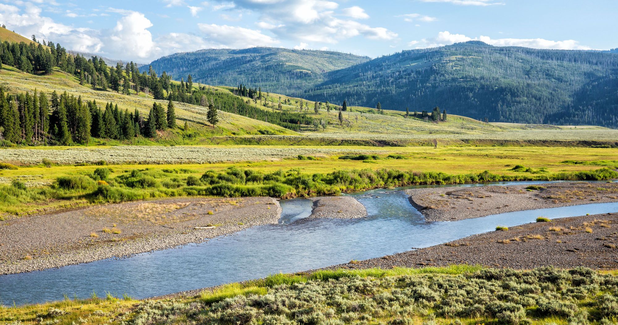 Ultimate Yellowstone Itinerary: Best Way To Spend 1 To 5 Days In Yellowstone  – Earth Trekkers