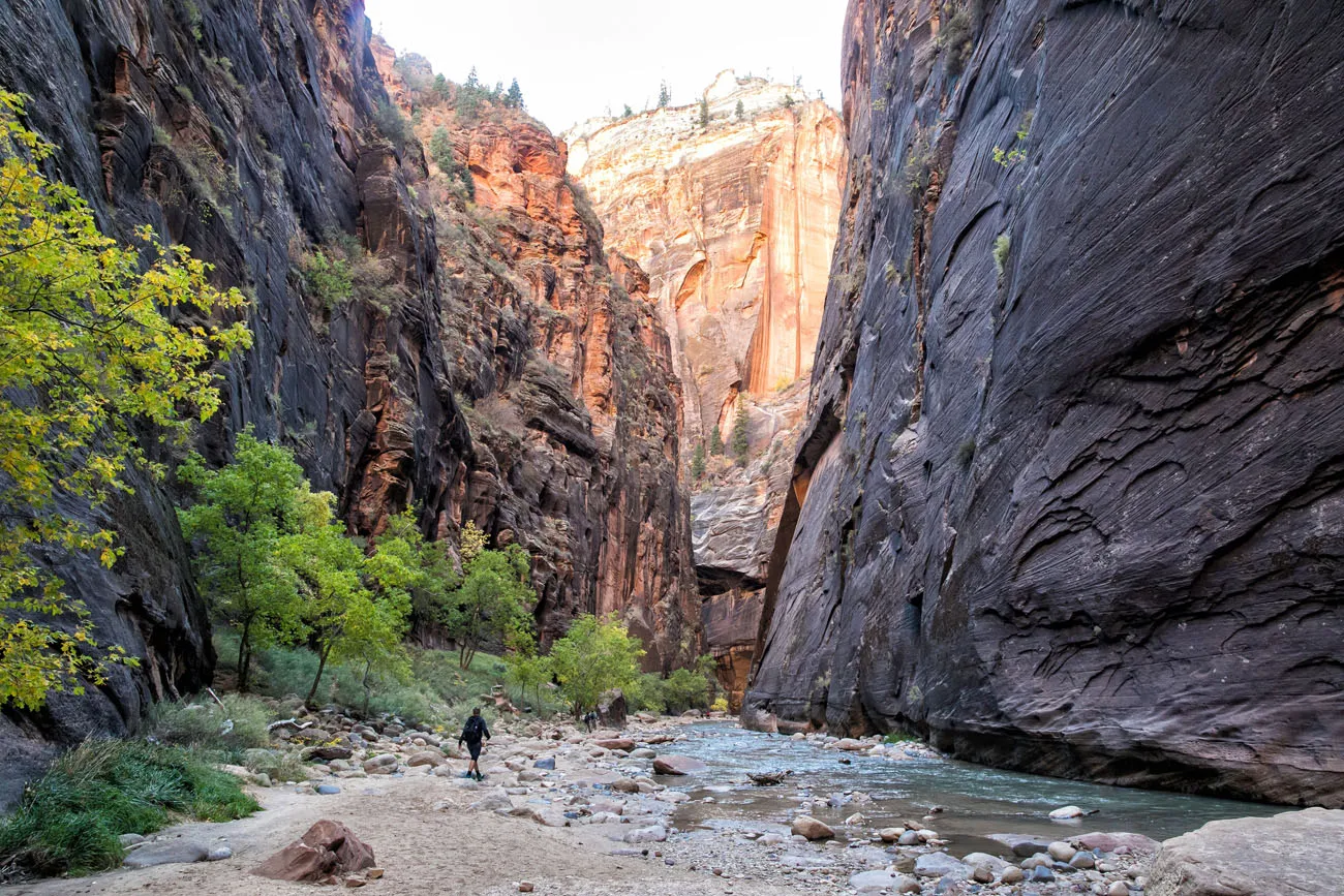 Zion Itinerary with Zion Narrows