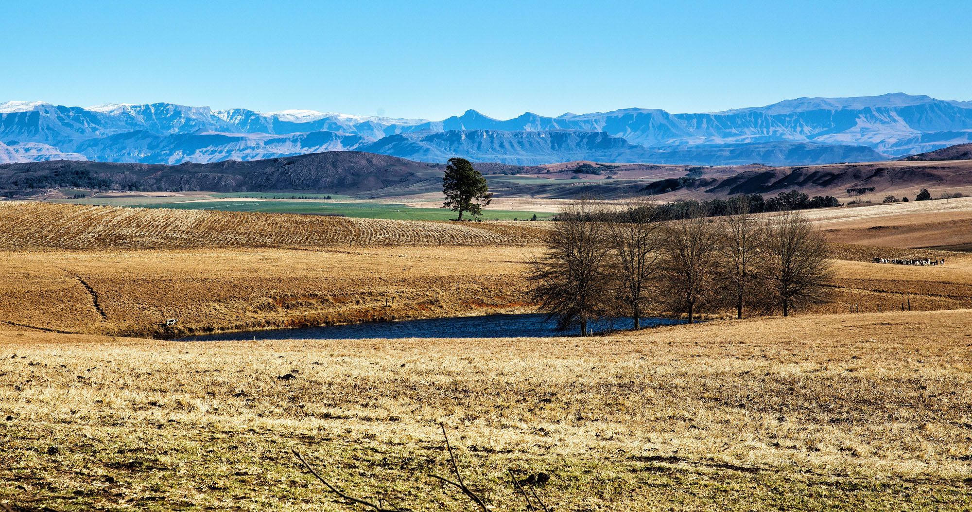 Featured image for “Tranquility in the Southern Drakensberg Mountains”