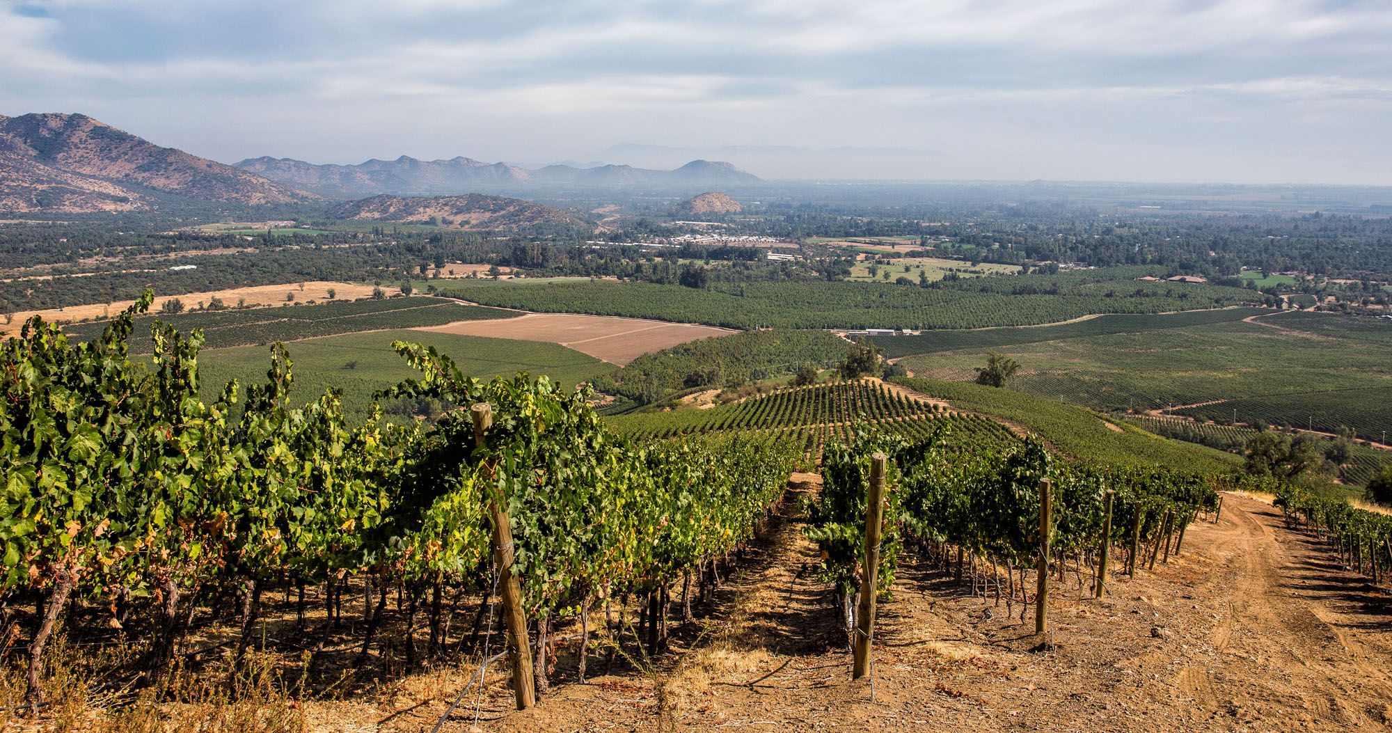 Santiago Wine Region