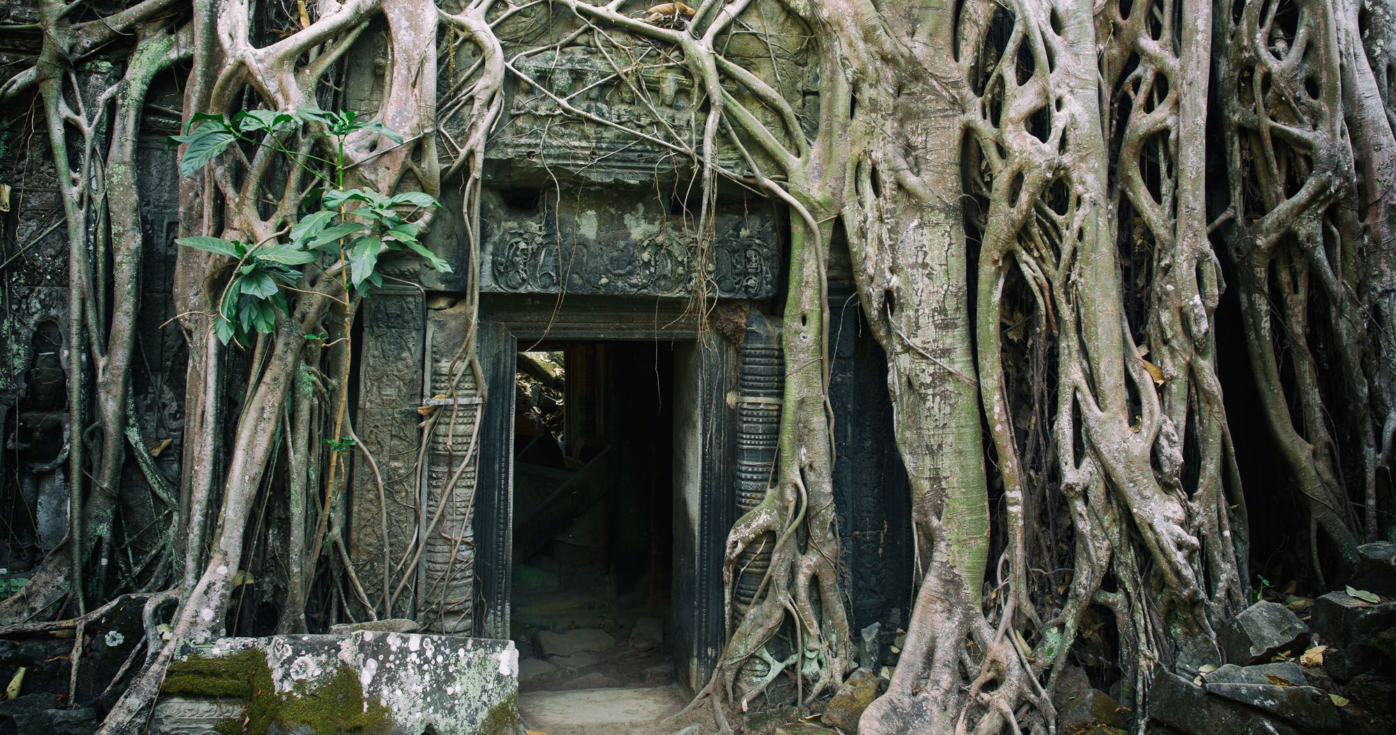 Featured image for “Exploring Ta Prohm, Cambodia: A Photojourney”