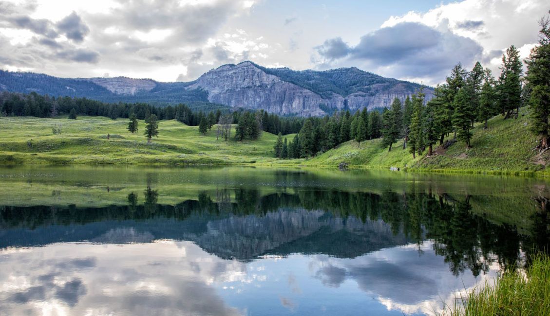 Trout Lake Yellowstone - Earth Trekkers