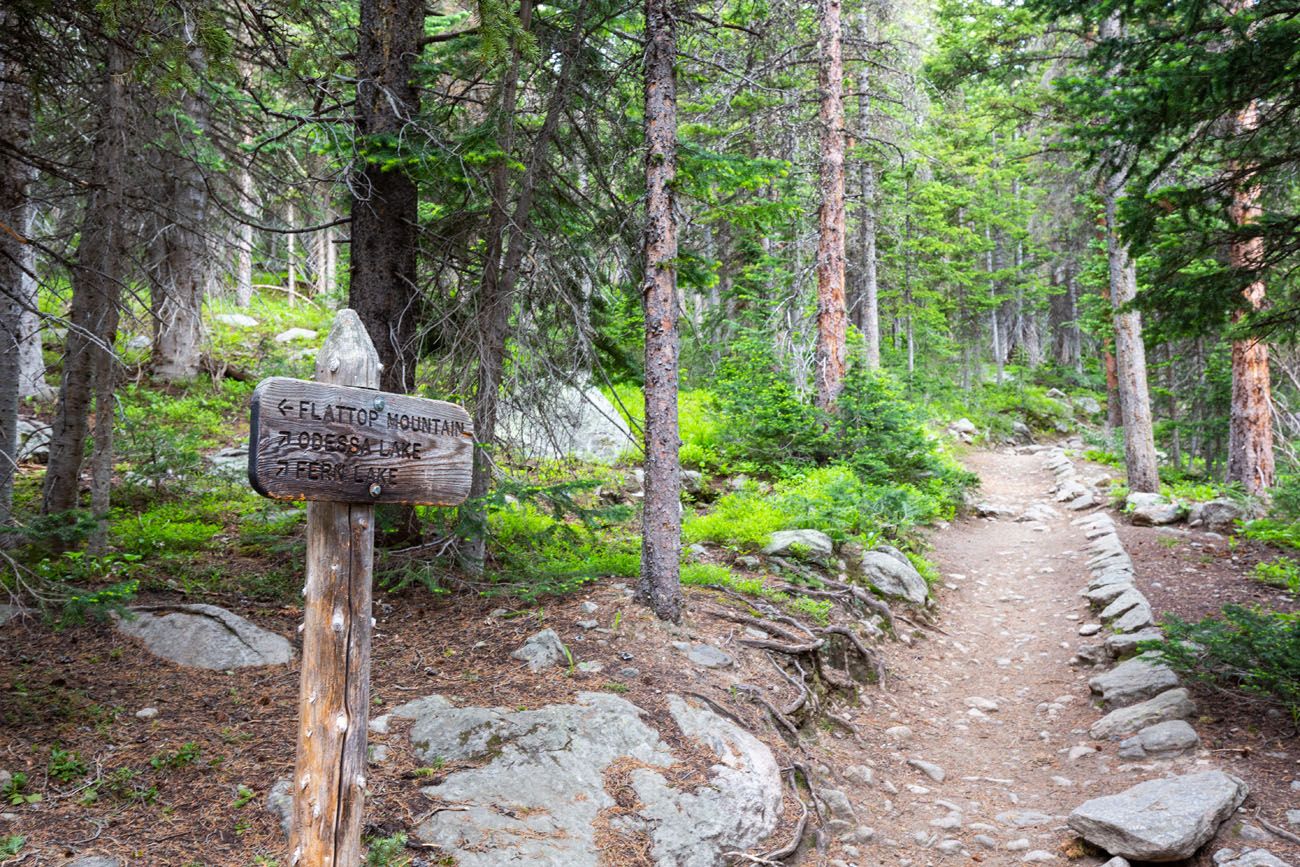 Odessa and Fern Lake via Fern Lake Trail: 3.001 fotos - Colorado