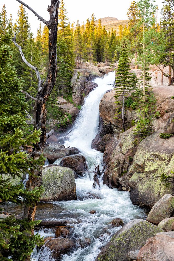 Alberta Falls | Best Hikes in Rocky Mountain National Park