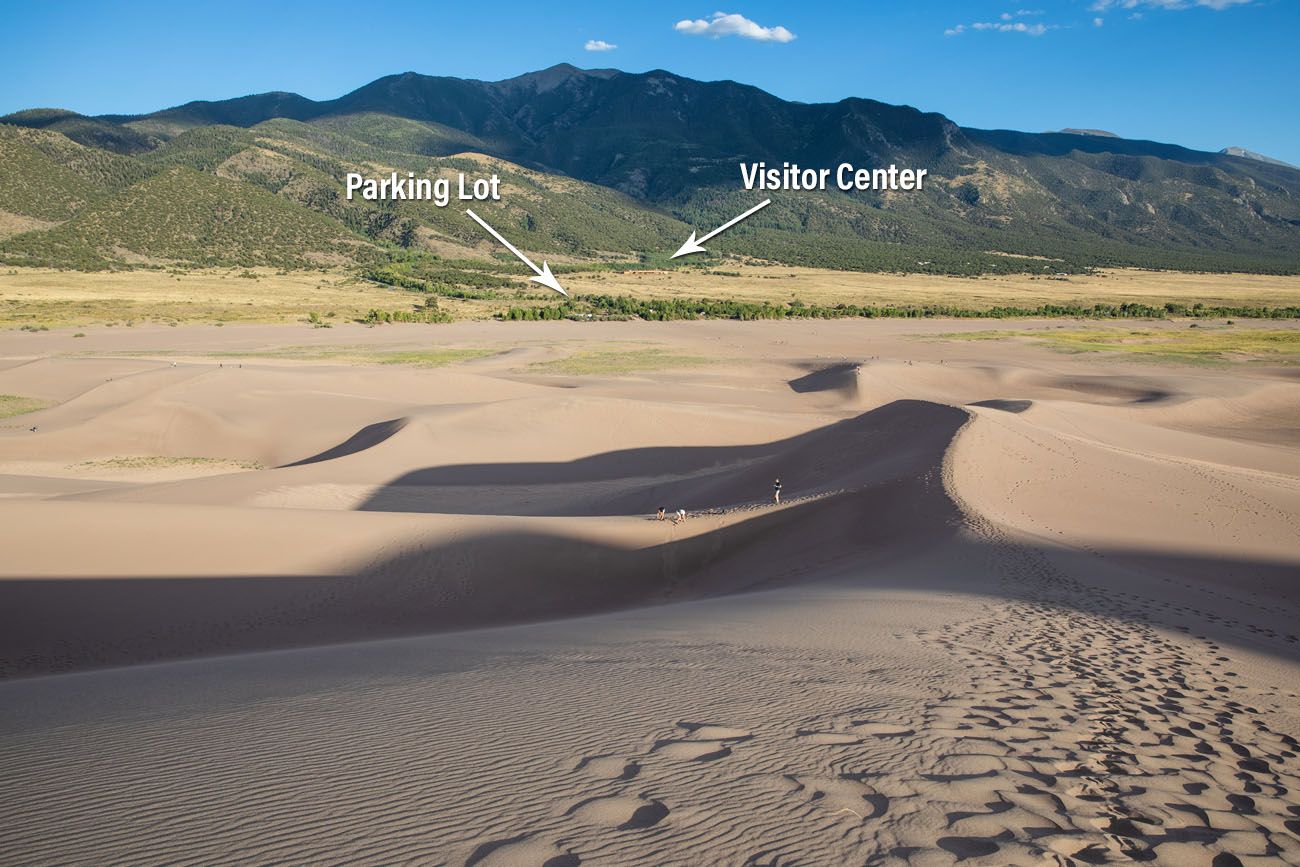 are dogs allowed at great sand dunes national park