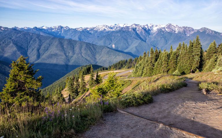 Hiking the Klahhane Ridge Trail to Mount Angeles, Olympic NP – Earth ...