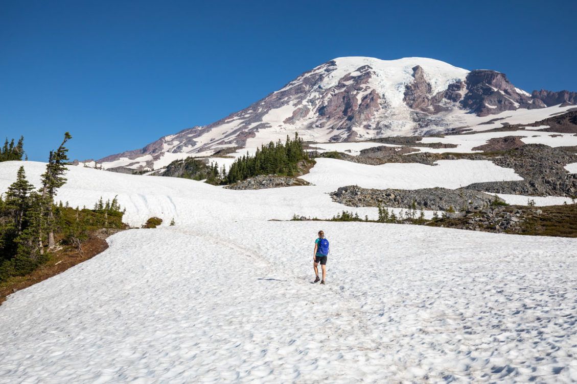 Skyline Trail Loop & Panorama Point, Mount Rainier National Park ...