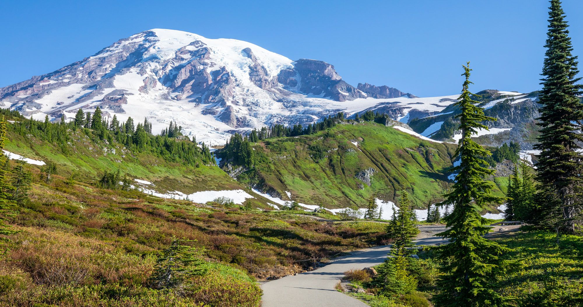 Featured image for “Skyline Trail Loop & Panorama Point, Mount Rainier National Park”