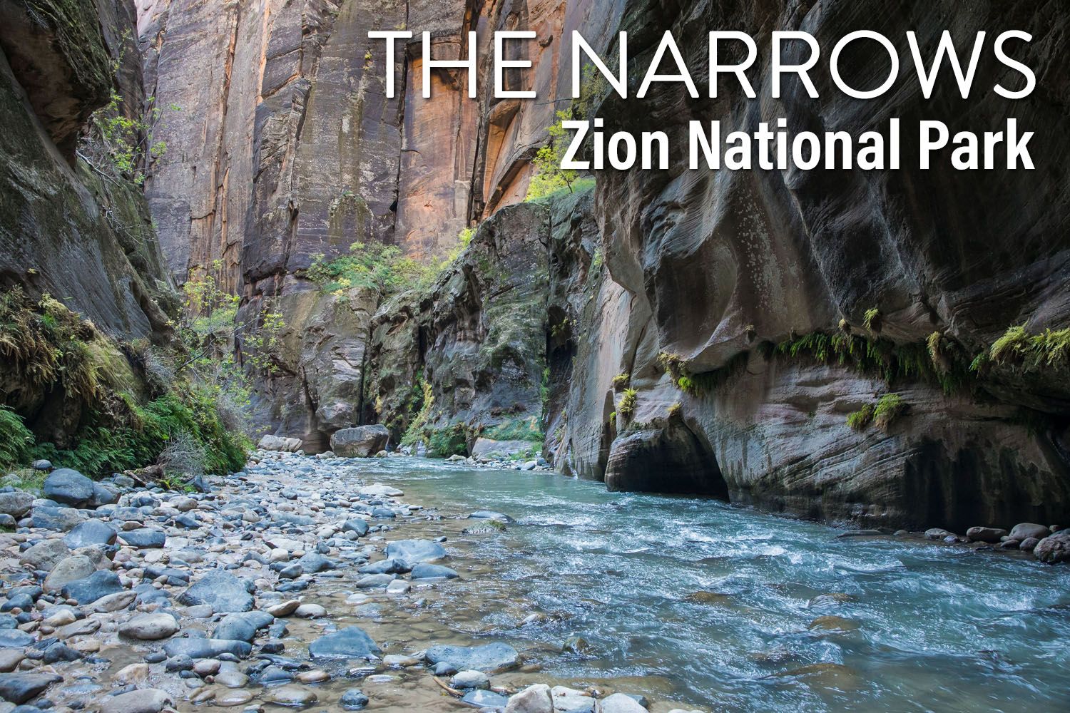 Zion Narrows