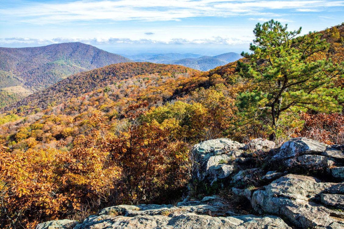 10 Great Hikes in Shenandoah National Park – Earth Trekkers