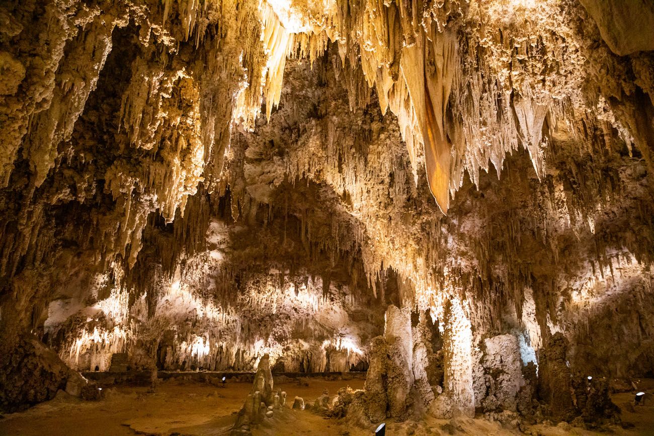 Carlsbad Caverns national parks with kids