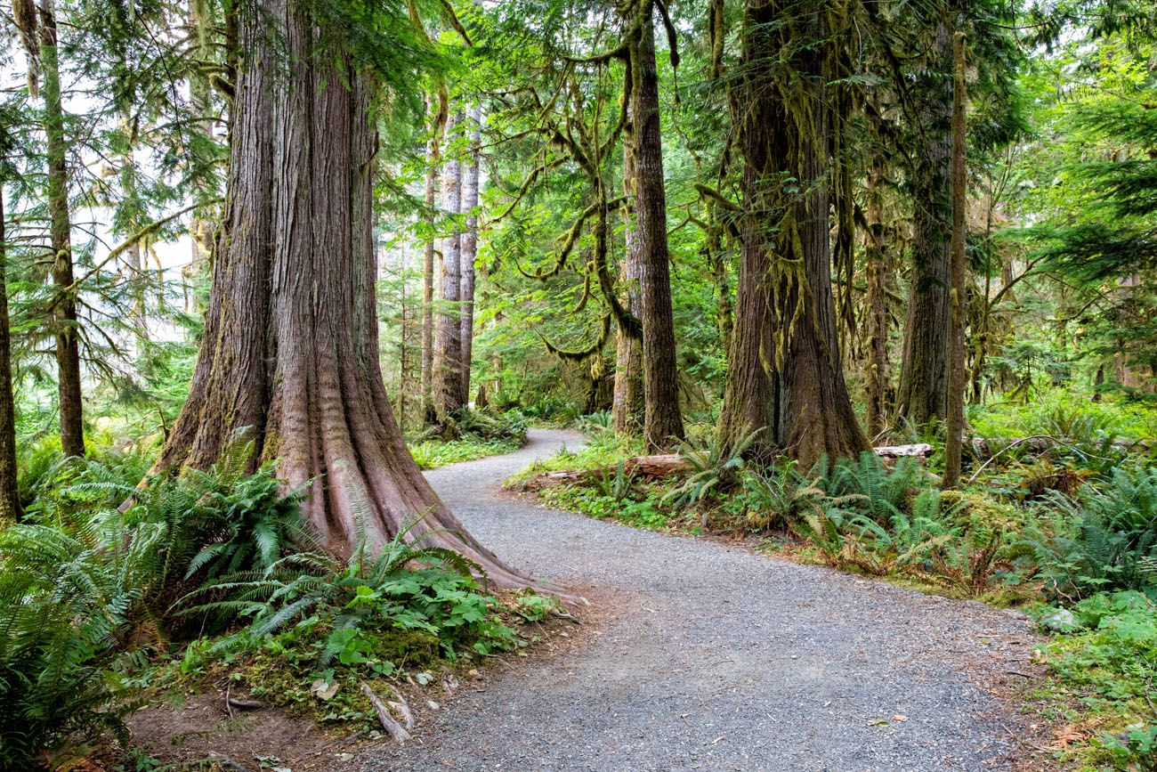 Olympic NP national parks with kids