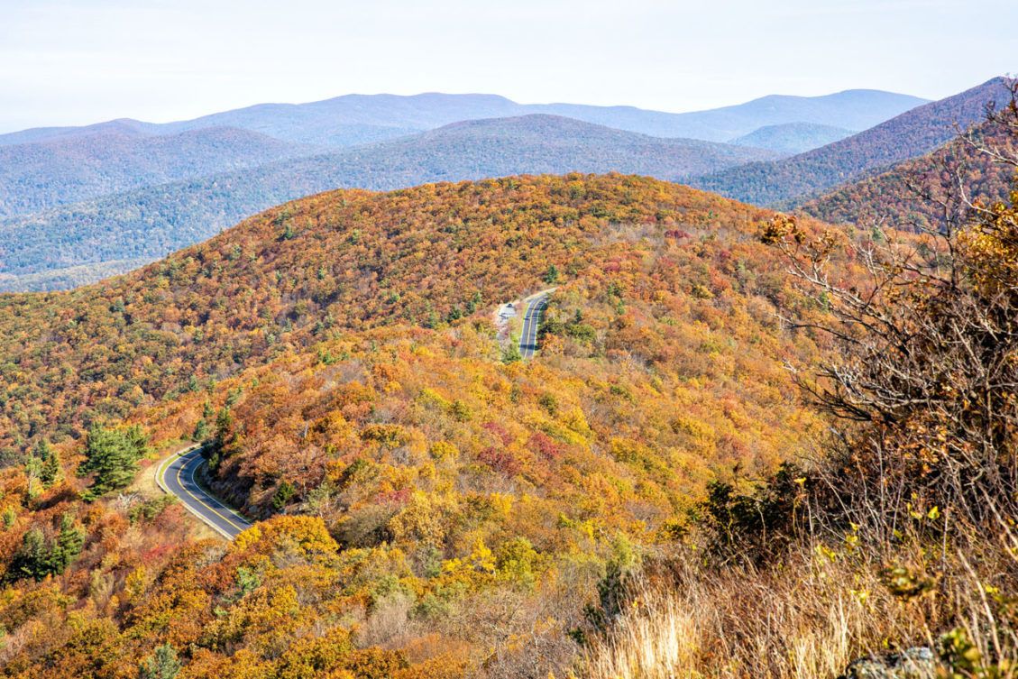 9 Amazing Things to Do in Shenandoah National Park – Earth Trekkers