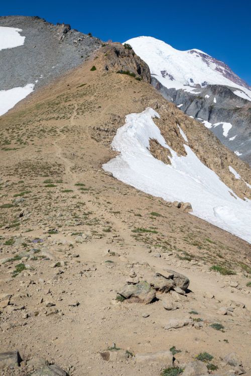 Summerland Trail to Panhandle Gap Hike | Mount Rainier National Park ...