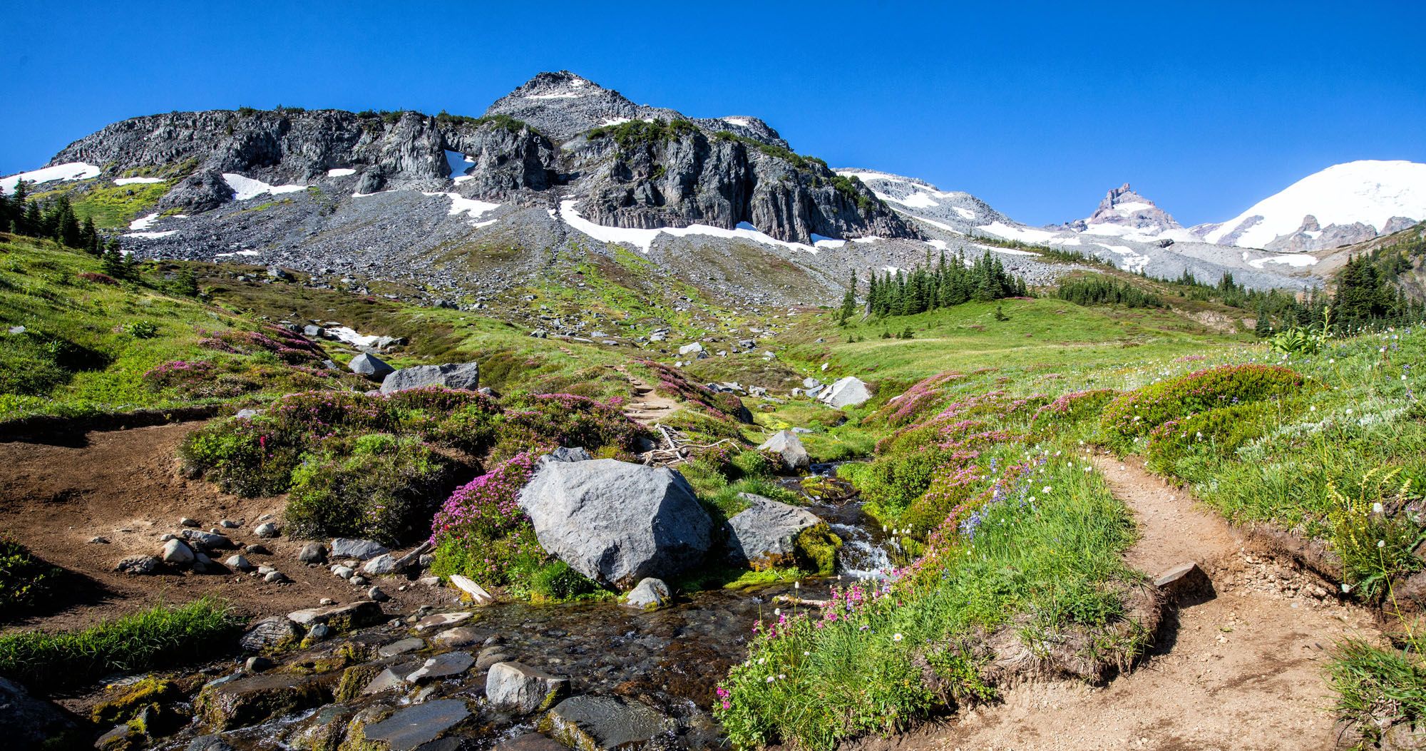Featured image for “Summerland Trail to Panhandle Gap Hike | Mount Rainier National Park”