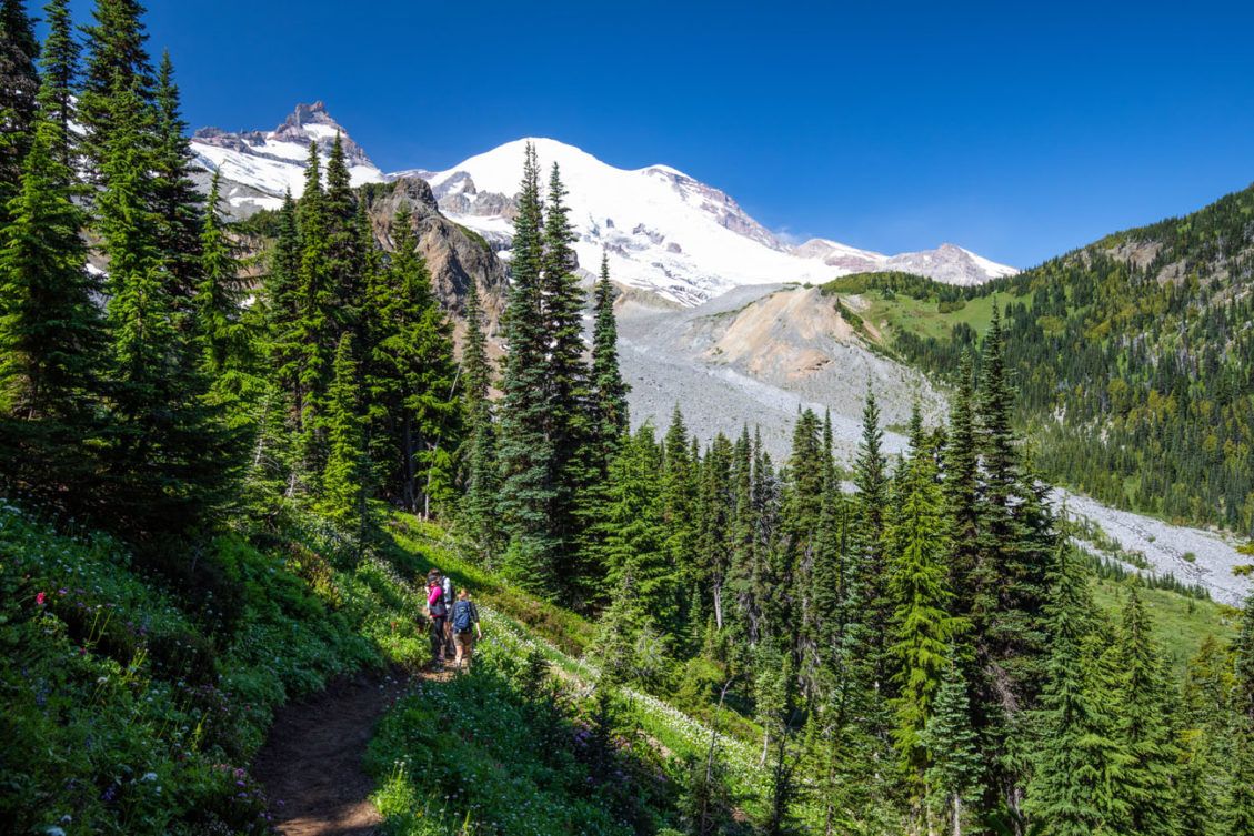 Summerland Trail to Panhandle Gap Hike | Mount Rainier National Park ...