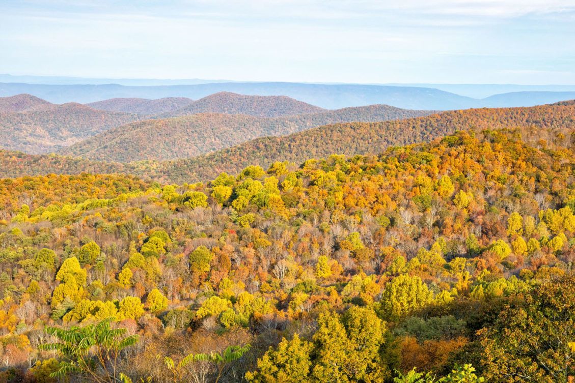 9 Amazing Things to Do in Shenandoah National Park Earth Trekkers