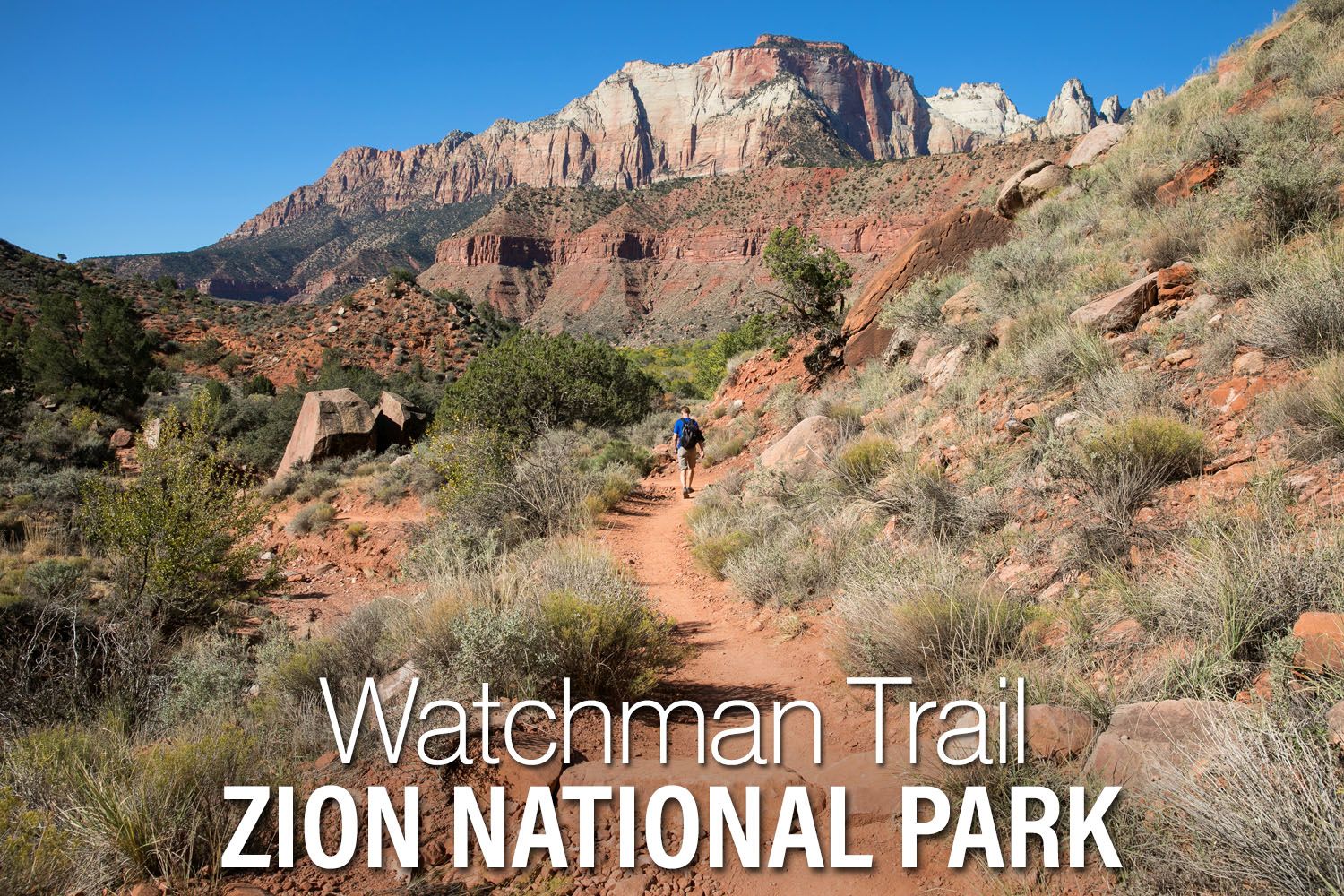 Watchman Trail