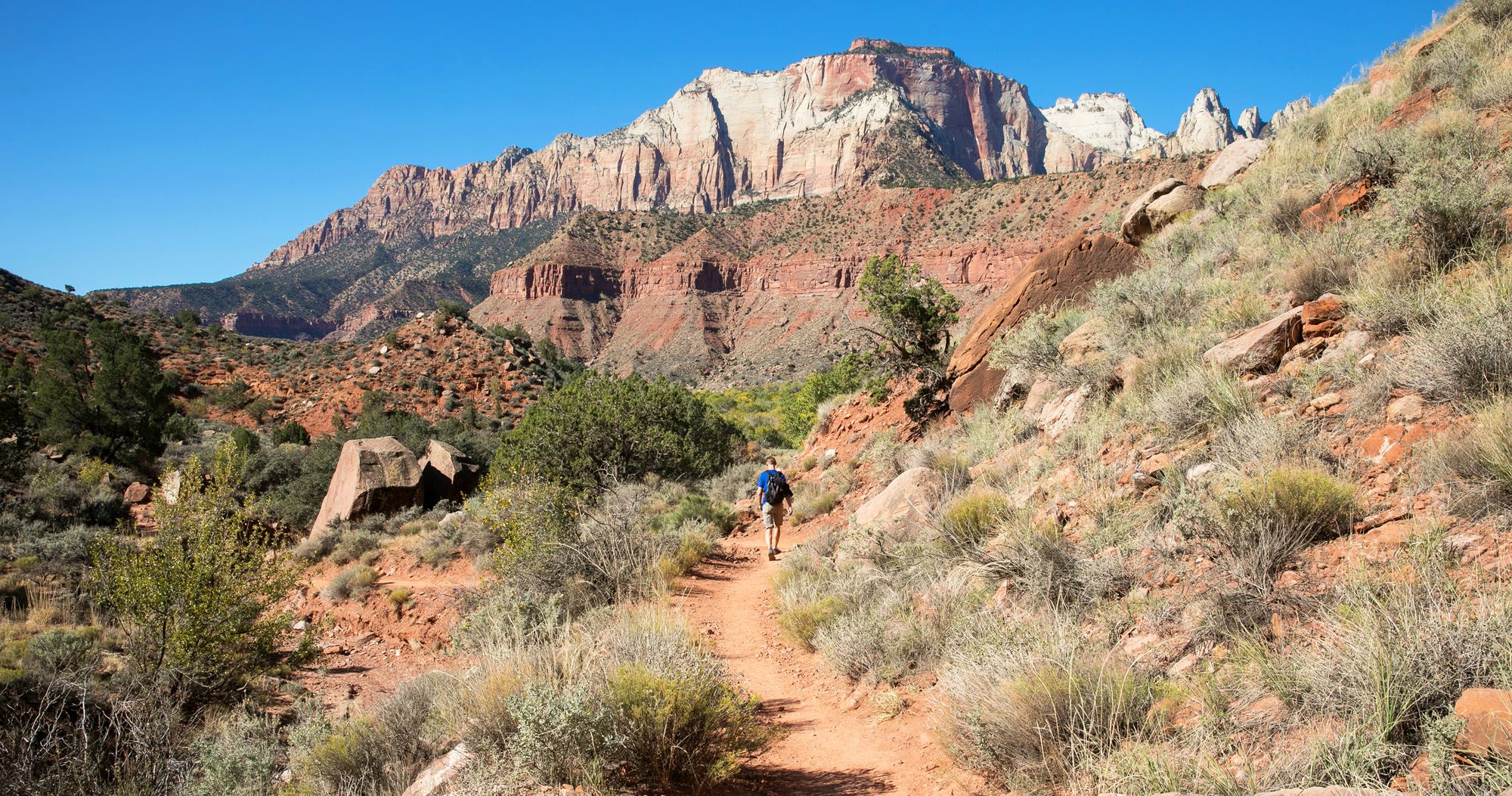Featured image for “How to Hike the Watchman Trail in Zion National Park”